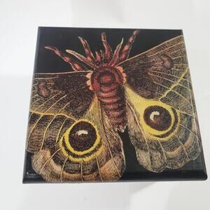 Hand Painted Decoupage Moth Design Wood Trinket Box Black